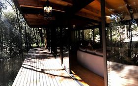 Chalet nordico enmedio del bosque